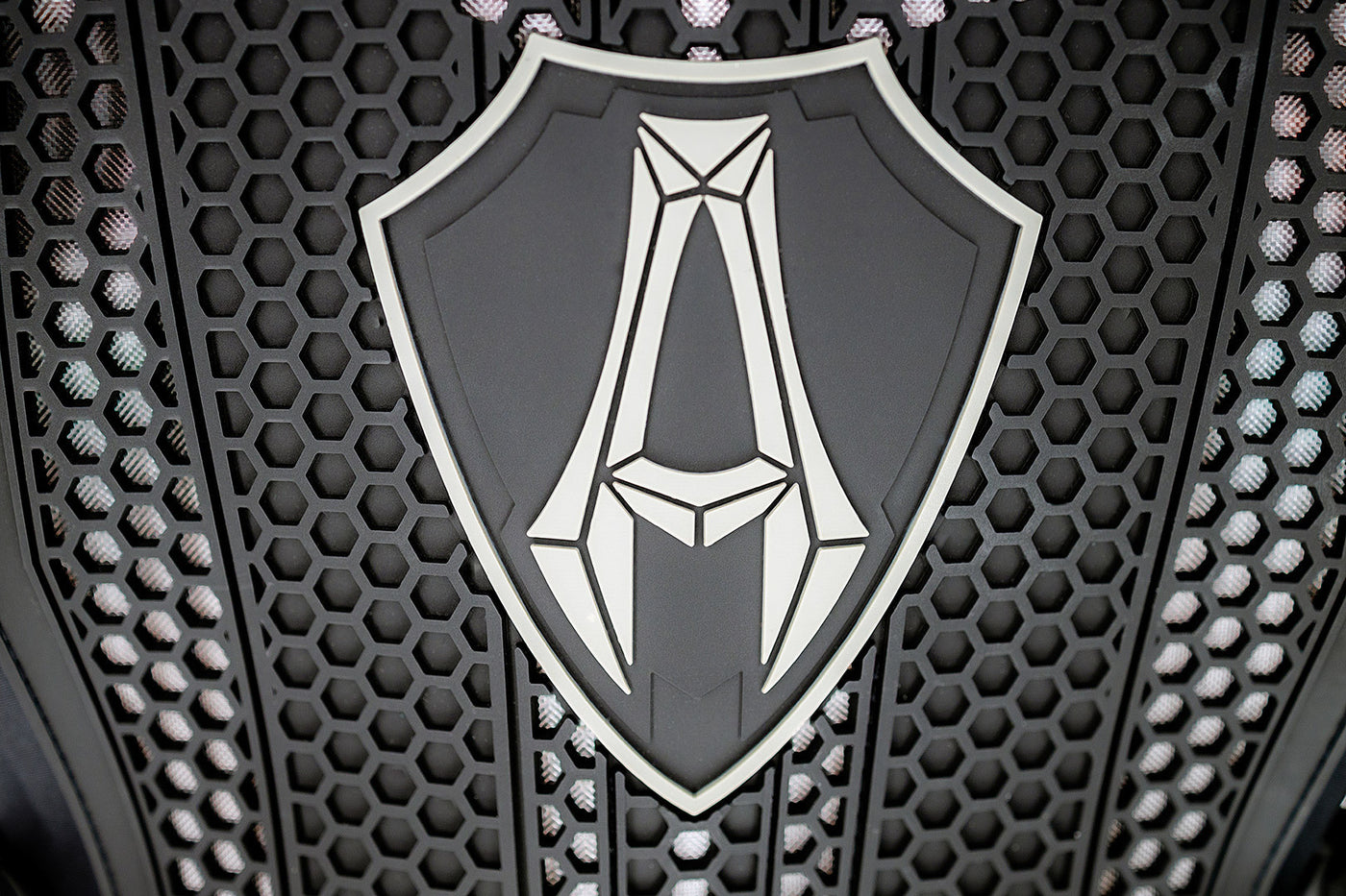 Arlen Ness Ultimate EVO Back Protector#color_black